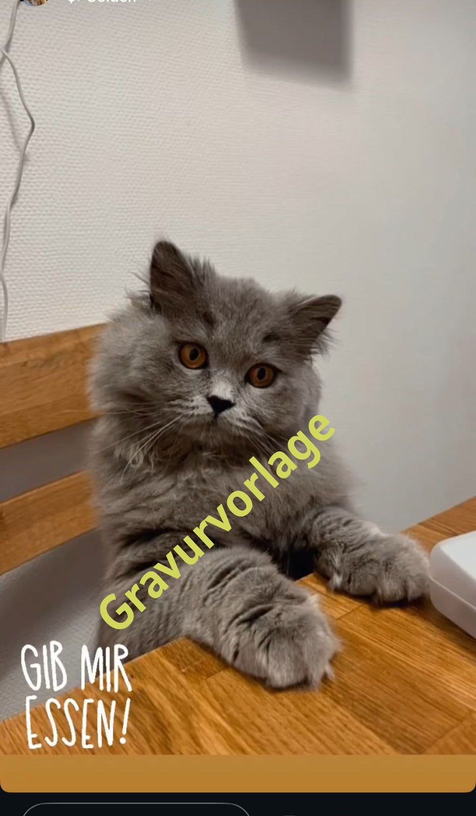 Gravierte Schieferplatte 25×25 cm | Haustierporträt nach Wunsch